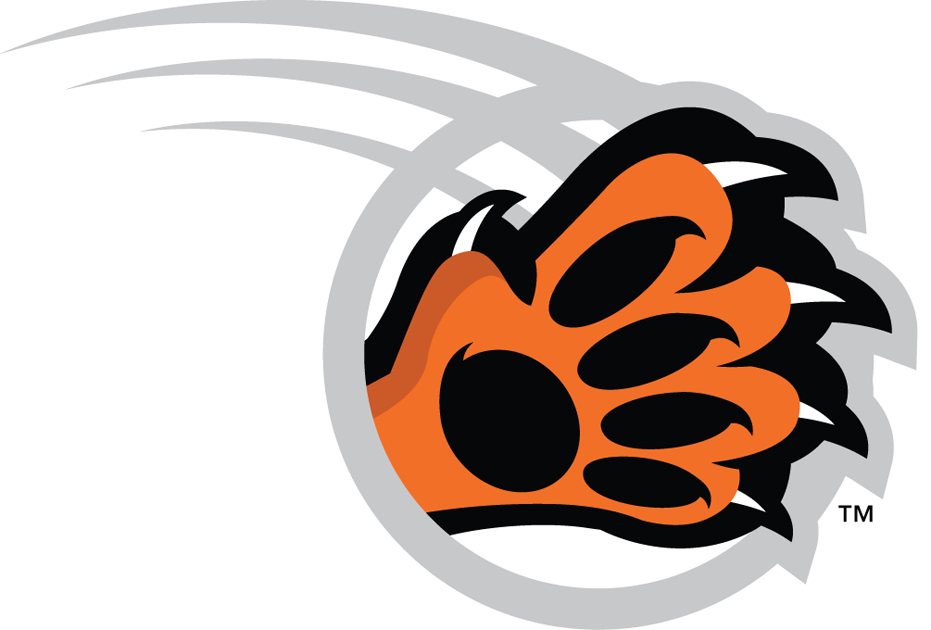 RIT Tigers 2004-Pres Alternate Logo v4 diy DTF decal sticker